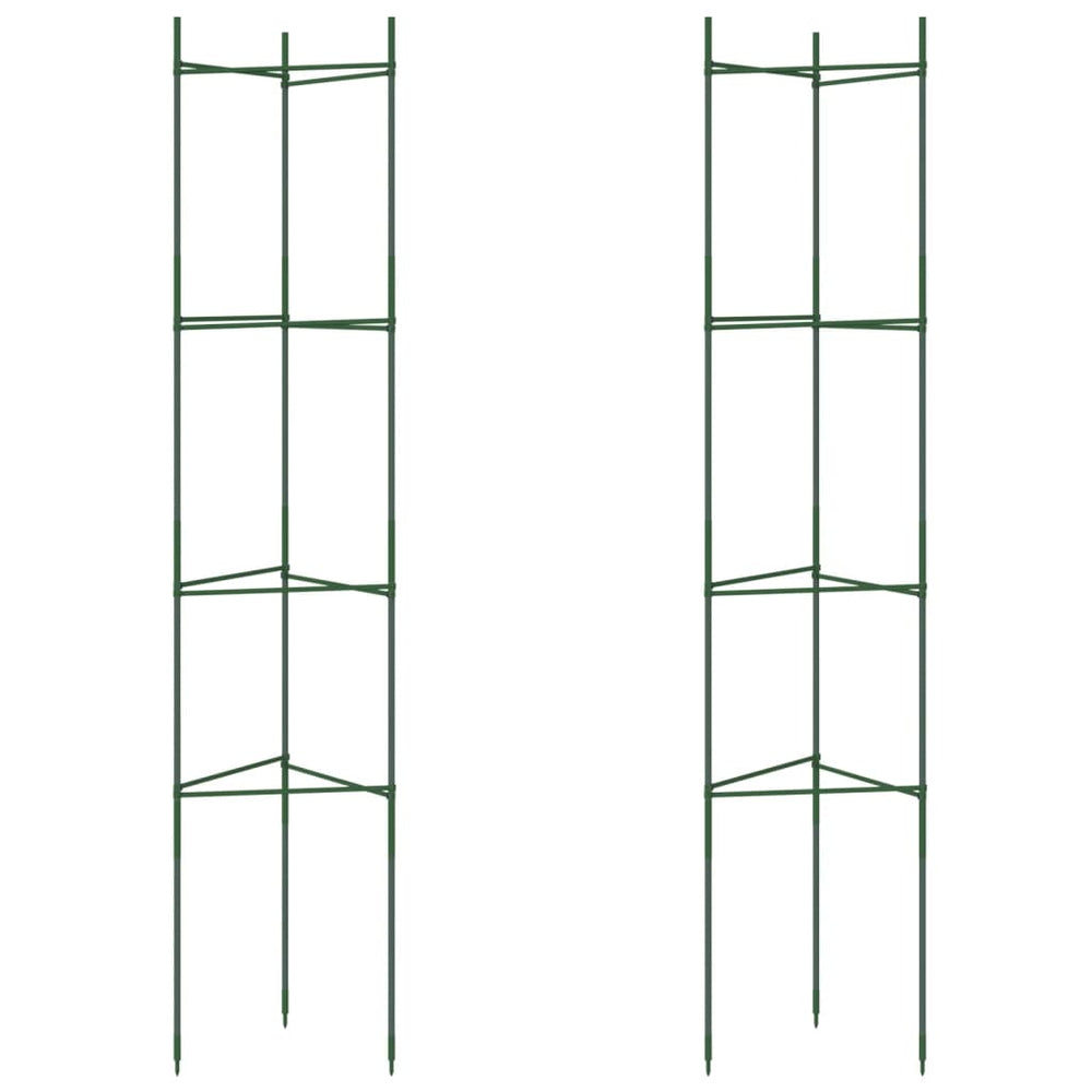 Tomatenkäfig 2er Set 154cm