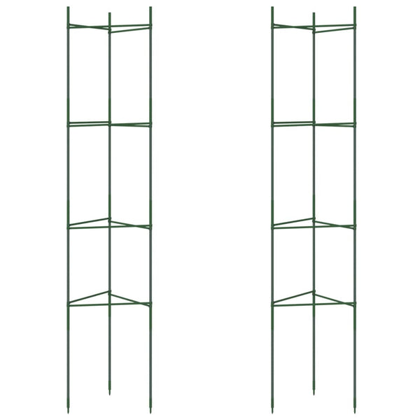 Tomatenkäfig 2er Set 154cm