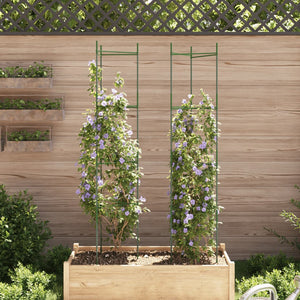 Tomatenkäfig 2er Set 154cm