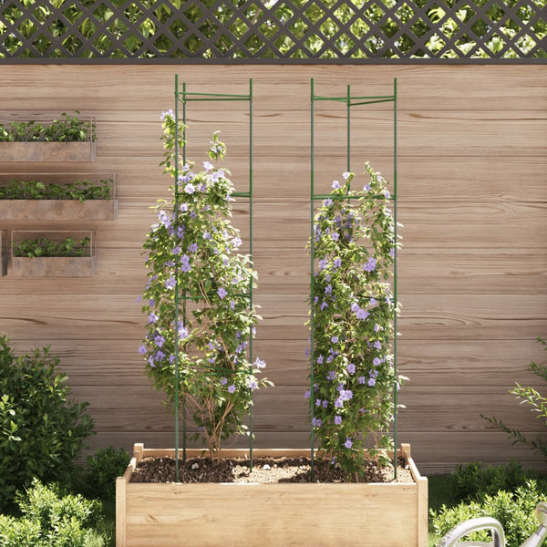 Tomatenkäfig 2er Set 154cm