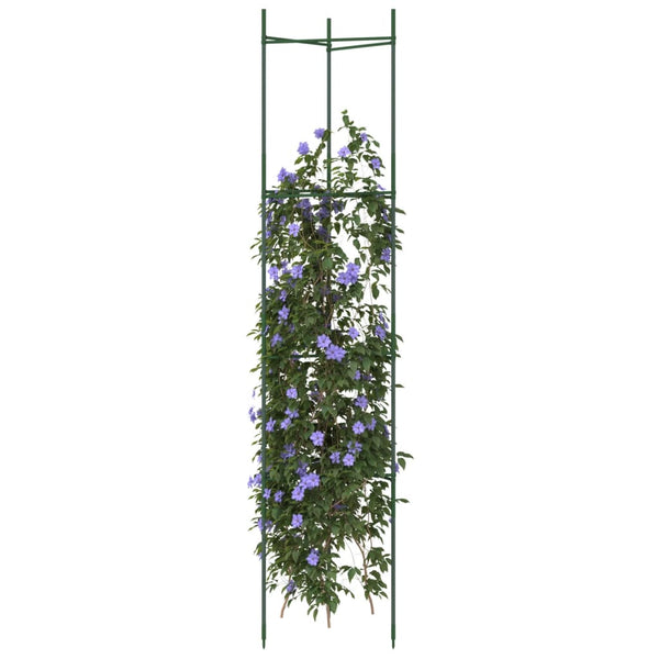 Tomatenkäfig 2er Set 154cm