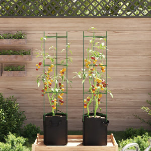 Tomatenkäfig mit Pflanzsack 2er Set