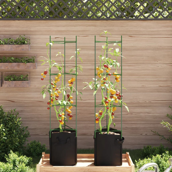 Tomatenkäfig mit Pflanzsack 2er Set