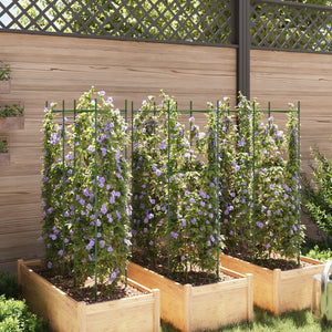Tomatenkäfige 6er Set, 116cm