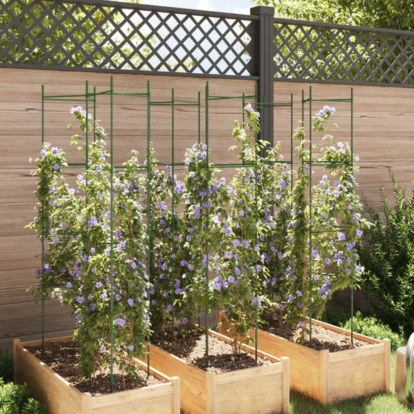 Tomatenkäfige 6er Set, 154cm
