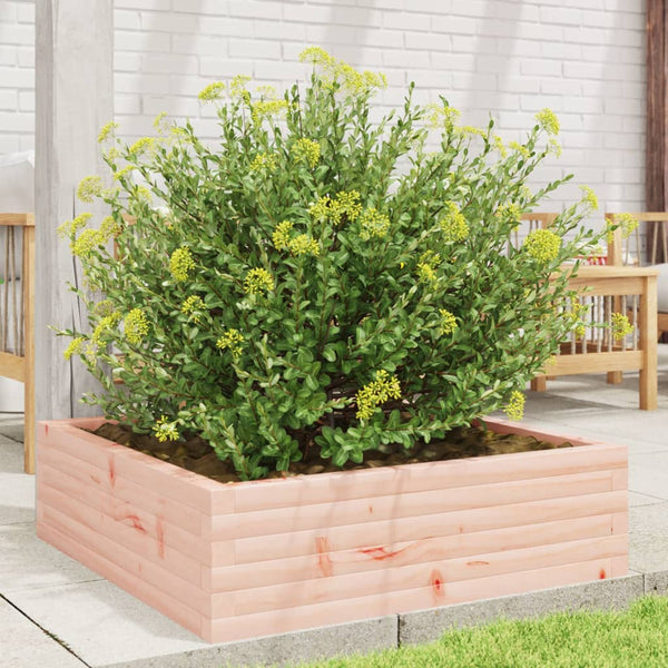 Massiver Pflanzkübel Douglasie 80x80x23 cm