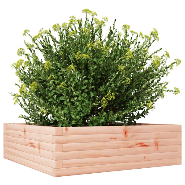 Massiver Pflanzkübel Douglasie 80x80x23 cm