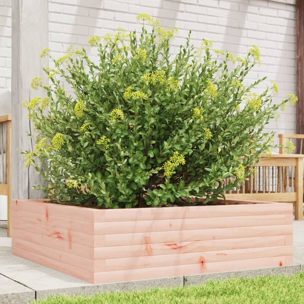 Massiver Pflanzkübel Douglasie 80x80x23 cm