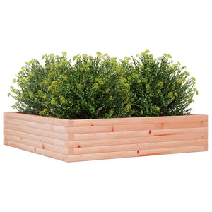 Massivholz Pflanzkübel Douglasie 100x100x23 cm