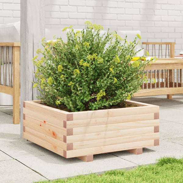 Pflanzkübel Kiefer Massivholz 60x60x26,5 cm