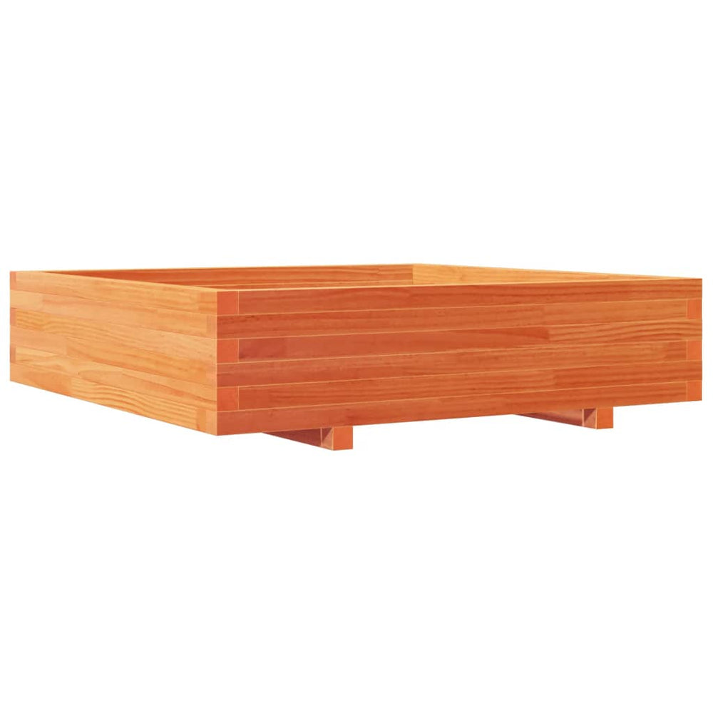 Holz Pflanzkübel Wachsbraun 100x100 cm
