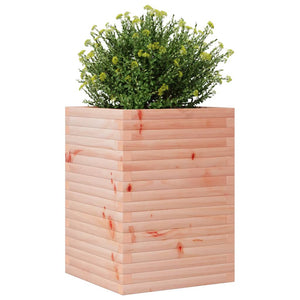 Massiver Douglasie Pflanzkübel 50x50x68,5 cm