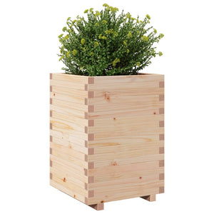 Massiver Kiefer Pflanzkübel 50x50x72,5 cm