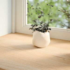 Eiche Fensterbänke Massivholz 110x25cm, 2er Set