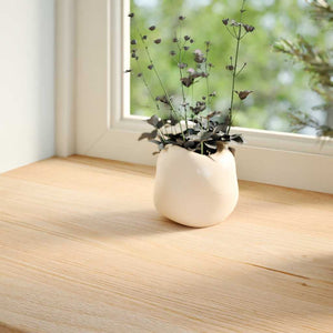 Massivholz Fensterbänke Eiche, 160 cm, 2er Set