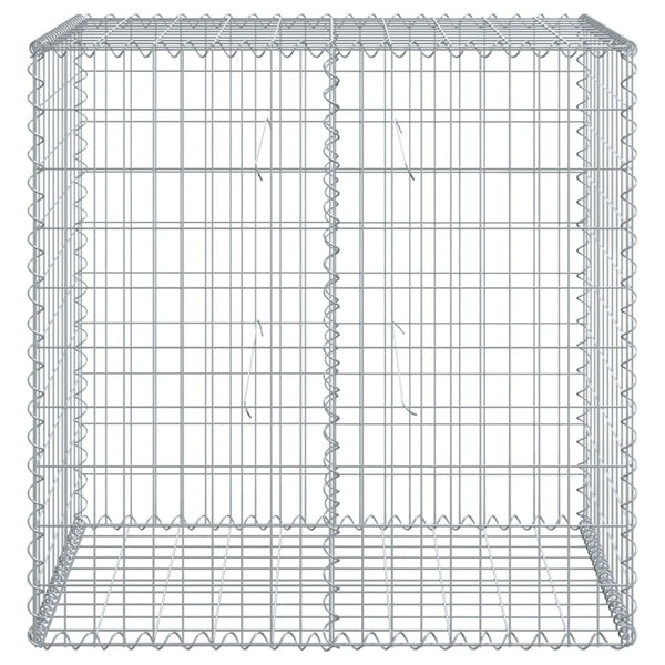 Gabione mit Deckel 100x50x100 cm