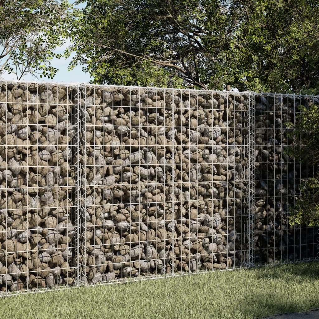 Gabione mit Deckel 100x50x100 cm
