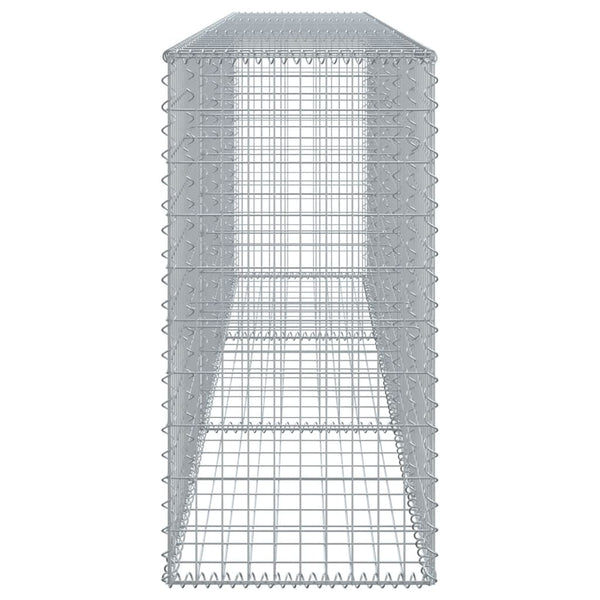 Gabione mit Deckel 300x50x100 cm