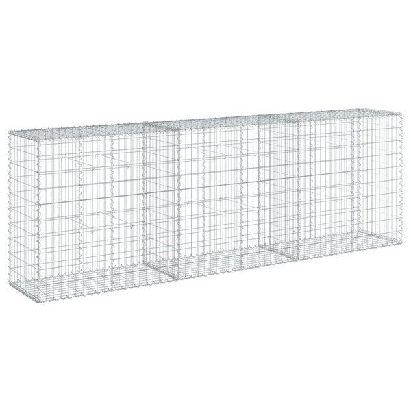 Gabione mit Deckel 300x50x100 cm