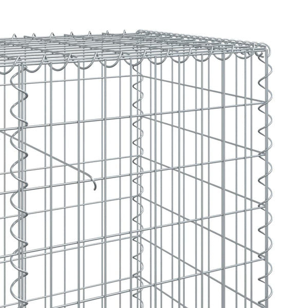 Gabione mit Deckel 300x50x100 cm