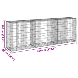 Gabione mit Deckel 300x50x100 cm