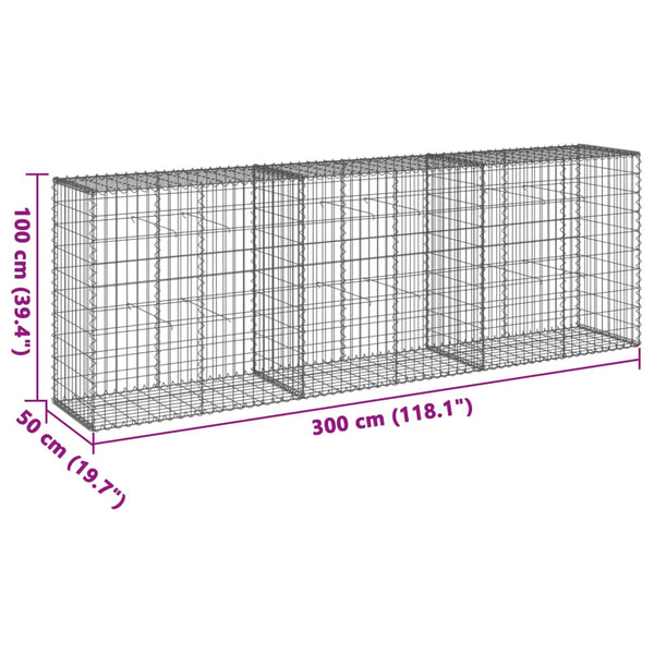 Gabione mit Deckel 300x50x100 cm