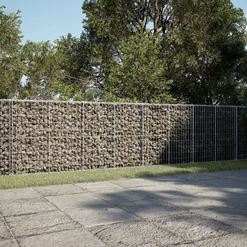 Gabione mit Deckel, 100x50x100 cm, Verzinkt