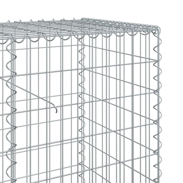 Gabione mit Deckel, 120x50x100 cm, verzinkt