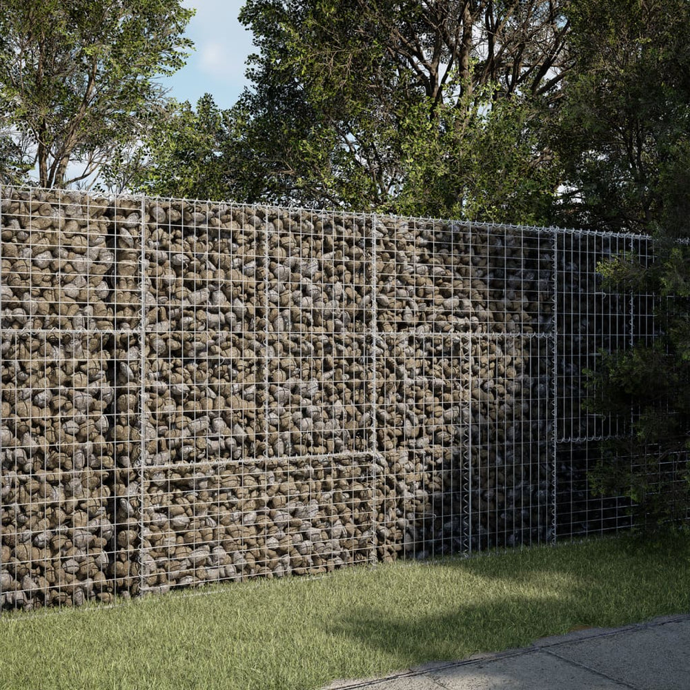 Gabione mit Deckel 200x50x150 cm Verzinkt