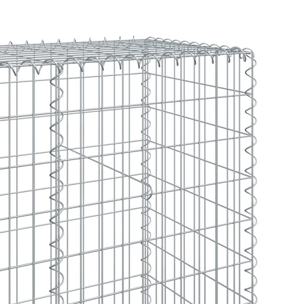 Gabione mit Deckel 100x50x200 cm