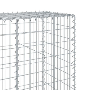 Gabione mit Deckel 300x50x200 cm