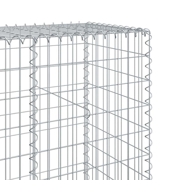 Gabione mit Deckel 300x50x200 cm