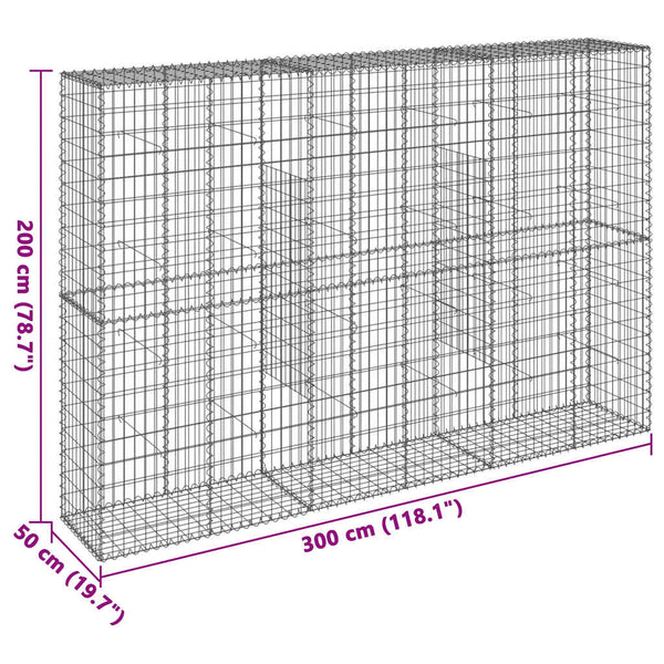 Gabione mit Deckel 300x50x200 cm