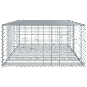 Gabione mit Deckel 200x100x50cm