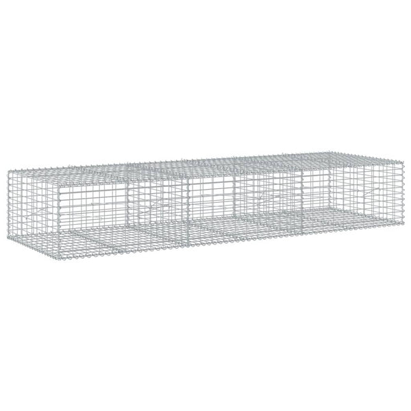 Gabione mit Deckel 300x100x50 cm