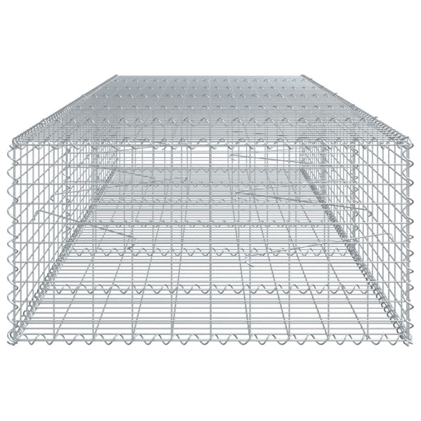 Gabione mit Deckel 300x100x50 cm