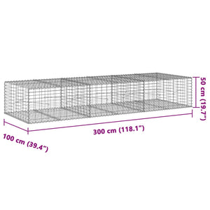 Gabione mit Deckel 300x100x50 cm