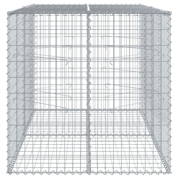 Gabione mit Deckel 200x100x100 cm Verzinkt
