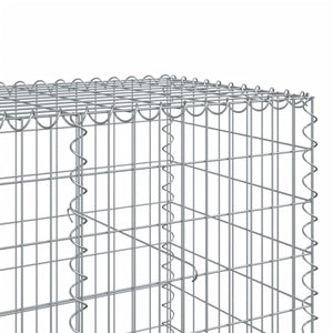 Gabione mit Deckel 200x100x100 cm Verzinkt