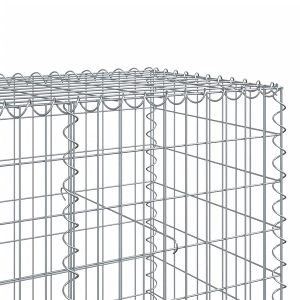 Gabione mit Deckel 200x100x100 cm Verzinkt