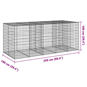 Gabione mit Deckel, 250x100x100 cm