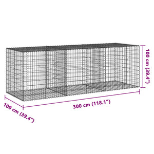 Gabione mit Deckel 300x100x100 cm