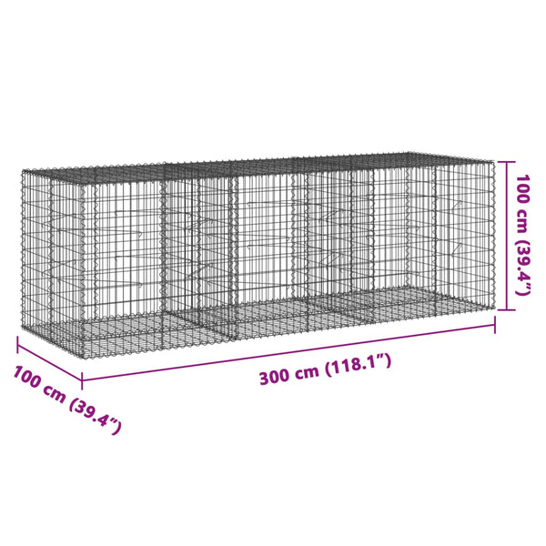 Gabione mit Deckel 300x100x100 cm