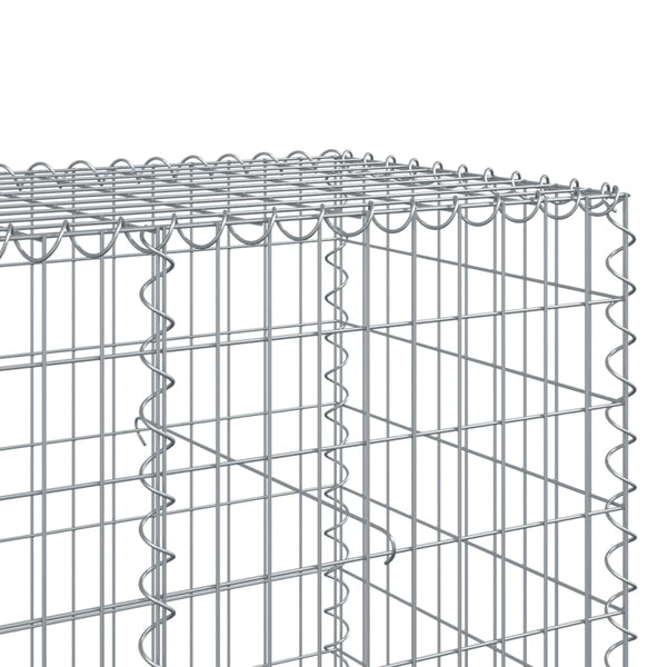 Gabione mit Deckel 600x100x100 cm Verzinkt