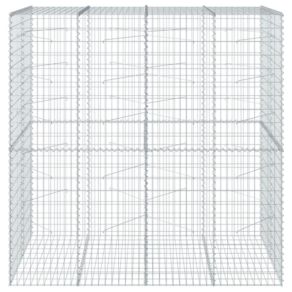 Gabione mit Deckel 200x100x200cm