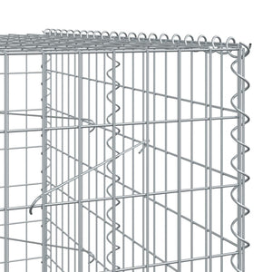 Gabione mit Deckel 200x100x200cm