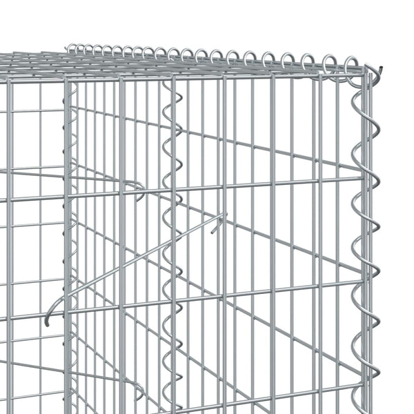 Gabione mit Deckel 200x100x200cm