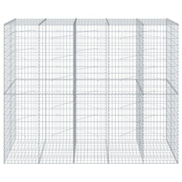 Gabione mit Deckel 250x100x200 cm