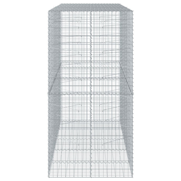 Gabione mit Deckel 250x100x200 cm