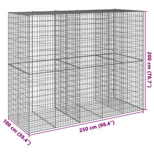 Gabione mit Deckel 250x100x200 cm